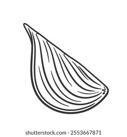Cut in half onion bulb draw. Outline sketch onion bulb.