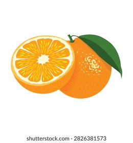 Cut half orange citrus fruit with leaf organic healthy food ingredient.