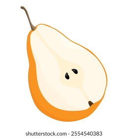 Cut in half orange pear fruit isolated on white background. Sliced pear fruit. Vector illustration