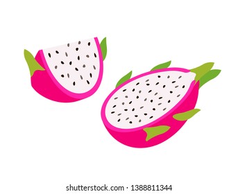 cut half and sliced dragon fruit, Summer tropical fruit, cartoon flat icon, vector illustration sketch isolated on white background