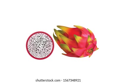 Cut half and whole dragon fruit, Summer tropical fruit, Realistic vector illustration isolated on white background