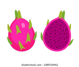 cut half and whole red dragon fruit, Summer tropical fruit, cartoon flat icon, vector illustration sketch isolated on white background