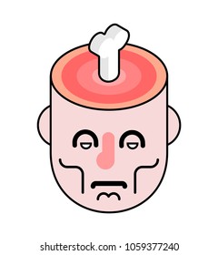 Cut head and bone in brain. Slice skull
