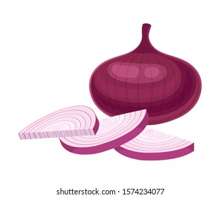 Cut Into Halves Onion Bulb Vector Illustrated Item