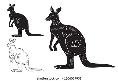 Cut of kangaroo set. Poster Butcher diagram. Vintage typographic hand-drawn. Vector illustration