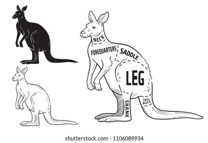Cut of kangaroo set. Poster Butcher diagram. Vintage typographic hand-drawn. Vector illustration