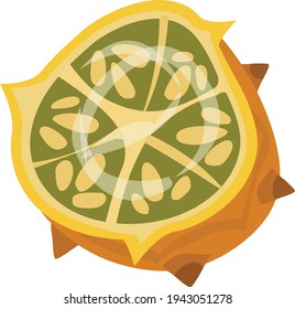 Cut kiwano fruit vector illustration isolated on white background