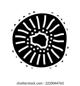 cut kiwi fresh glyph icon vector. cut kiwi fresh sign. isolated symbol illustration