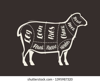 Cut of lamb meat drawn on the blackboard. Menu for restaurant or butcher shop. Vector