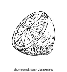 cut lemon hand drawn vector. slice fruit, citrus half, fresh food, citron cut lemon sketch. isolated black illustration