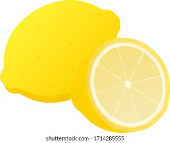 ilustración vectorial aislada del limón