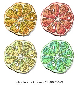 Cut lemon, lime and grapefruit