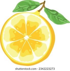 cut of lemon vector illustration with two leaves