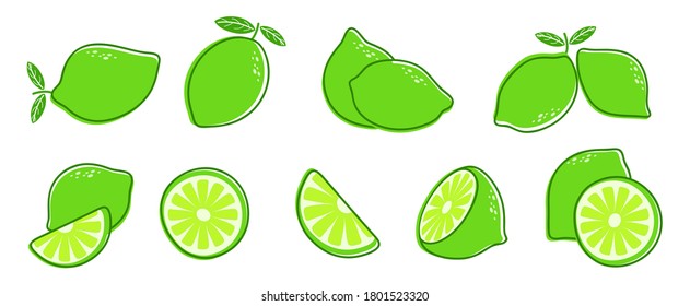 Cut lime. Fresh citrus fruit, slice and leaves. Isolated green lemon illustration, juicy organic fresh detox vitamin vector illustration