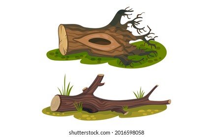 Cut Log or Snag with Dry Branches as Coarse Woody Debris Vector Set