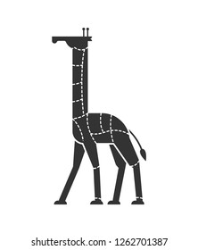 Cut of meat Giraffe. Camelopard silhouette scheme lines of different parts meat. How to cut flesh wild beast. Poster Butchers diagram for meat stores. Barbecue and steaks, delicacy dishes.