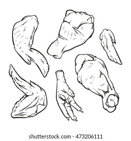 Cut of meat set. Hand drawn Chicken isolated on white background. Drawing Chicken Vector illustration. Cock cuts diagram. Butcher shop.