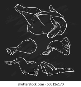 Cut of meat set. Hand drawn Chicken on black background. Drawing Chicken Vector illustration. Cock cuts diagram. Butcher shop.
