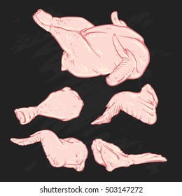 Cut of meat set. Hand drawn Chicken on black background. Drawing Chicken Vector illustration. Cock cuts diagram. Butcher shop.
