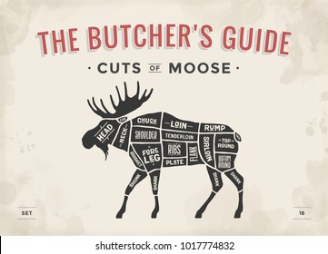 Cut of meat set. Poster Butcher diagram, scheme - Moose. Vintage typographic hand-drawn moose silhouette for butcher shop, restaurant menu, graphic design. Meat theme. Vector Illustration