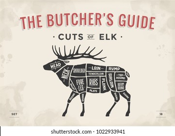 Cut of meat set. Poster Butcher diagram, scheme - Elk. Vintage typographic hand-drawn elk silhouette for butcher shop, restaurant menu, graphic design. Meat theme. Vector Illustration