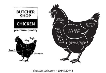 Cut of meat set. Poster Butcher diagram and scheme - Chicken. Vintage typographic hand-drawn. Vector illustration