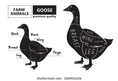 Cut of meat set. Poster Butcher diagram, scheme - Goose. Vintage typographic hand-drawn goose silhouette for butcher shop, restaurant menu, graphic design. Meat, poultry theme. Vector Illustration