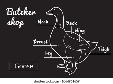 Cut of meat set. Poster Butcher diagram, scheme - Goose. Vintage typographic hand-drawn goose silhouette for butcher shop, restaurant menu, graphic design. Meat, poultry theme. Vector Illustration
