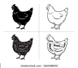 Cut of meat set. Poster Butcher diagram and scheme - Chicken. Vintage typographic hand-drawn. Vector illustration