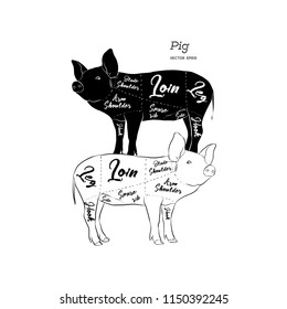 Cut of meat set. Poster Butcher diagram, scheme and guide - Pork. Vintage typographic hand-drawn. Vector illustration