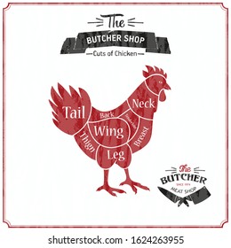 Cut of meat set. Poster Butcher diagram and scheme - Chicken. Vector illustration