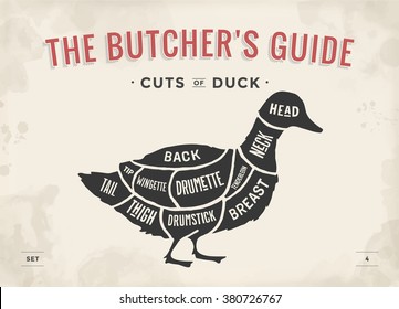 Cut of meat set. Poster Butcher diagram and scheme - Duck. Vintage typographic hand-drawn. Vector Illustration