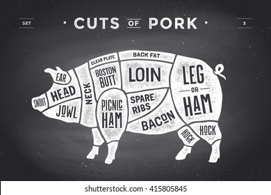Cut of meat set. Poster Butcher diagram, scheme and guide - Pork. Vintage typographic hand-drawn on a black chalkboard background. Vector illustration