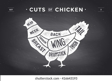 Cut of meat set. Poster Butcher diagram and scheme - Chicken. Vintage typographic hand-drawn. Vector illustration