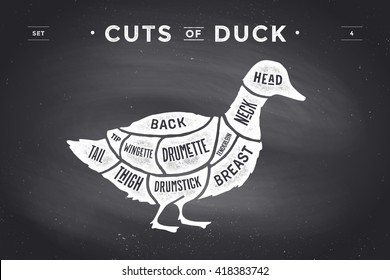 Cut of meat set. Poster Butcher diagram and scheme - Duck. Vintage typographic hand-drawn on a black chalkboard background. Vector Illustration
