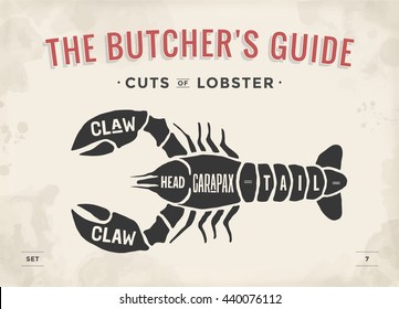 Cut of meat set. Poster Butcher diagram and scheme - Lobster. Vintage typographic hand-drawn visual guide for butcher shop. Vector illustration