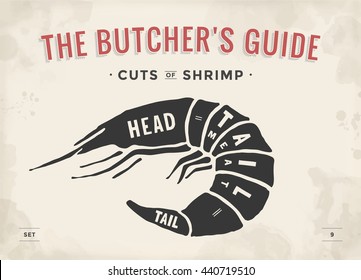 Cut of meat set. Poster Butcher diagram and scheme - Shrimp. Vintage typographic hand-drawn visual guide for butcher shop. Vector illustration