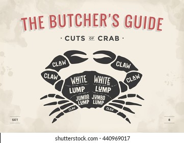 Cut of meat set. Poster Butcher diagram and scheme - Crab. Vintage typographic hand-drawn visual guide for butcher shop. Vector illustration