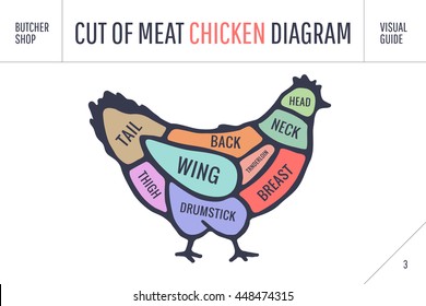 Cut of meat set. Poster Butcher diagram and scheme - Chicken. Colorful vintage typographic hand-drawn on white background for butcher shop. Vector illustration
