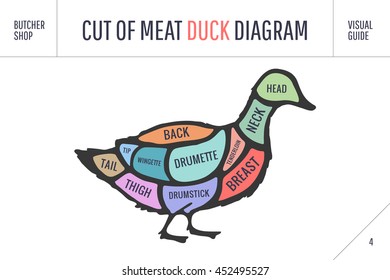 Cut of meat set. Poster Butcher diagram and scheme - Duck. Colorful vintage typographic hand-drawn on white background for butcher shop. Vector illustration