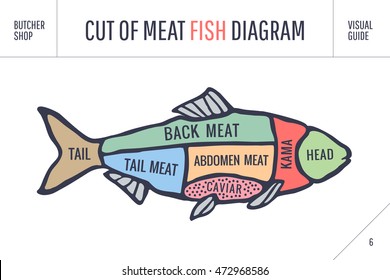 Cut of meat set. Poster Butcher diagram and scheme - Fish. Colorful vintage typographic hand-drawn visual guide for butcher shop. Vector illustration