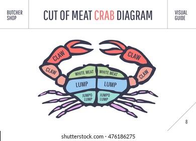 Cut of meat set. Poster Butcher diagram and scheme - Crab. Colorful vintage typographic hand-drawn visual guide for butcher shop. Vector illustration