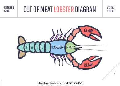 Cut of meat set. Poster Butcher diagram and scheme - Lobster. Colorful vintage typographic hand-drawn visual guide for butcher shop. Vector illustration