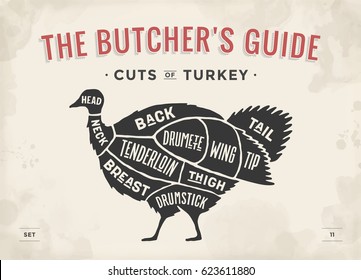 Cut of meat set. Poster Butcher diagram, scheme - Turkey. Vintage typographic hand-drawn turkey silhouette for butcher shop, restaurant menu, graphic design. Meat, poultry theme. Vector Illustration