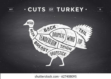 Cut of meat set. Poster Butcher diagram, scheme - Turkey. Vintage typographic hand-drawn turkey silhouette on chalkboard background for butcher shop, restaurant menu, food theme. Vector Illustration