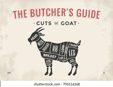 Cut Of Meat Set. Poster Butcher Diagram, Scheme - Goat. Vintage Typographic Hand-drawn Goat Silhouette For Butcher Shop, Restaurant Menu, Graphic Design. Meat, Poultry Theme. Vector Illustration