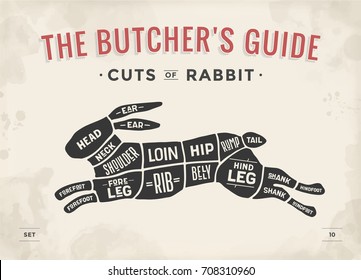 Cut of meat set. Poster Butcher diagram, scheme - Rabbit. Vintage typographic hand-drawn rabbit or hare silhouette for butcher shop, restaurant menu, graphic design. Meat theme. Vector Illustration