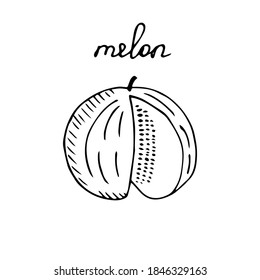 Cortar melón, ilustración vectorial, boceto
