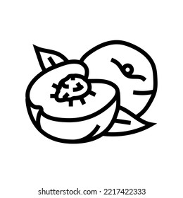 cut nectarine line icon vector. cut nectarine sign. isolated contour symbol black illustration
