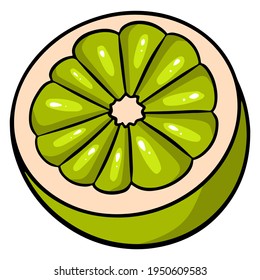 Cut off half of a green lime. Juicy bright green lime. For design and decoration.